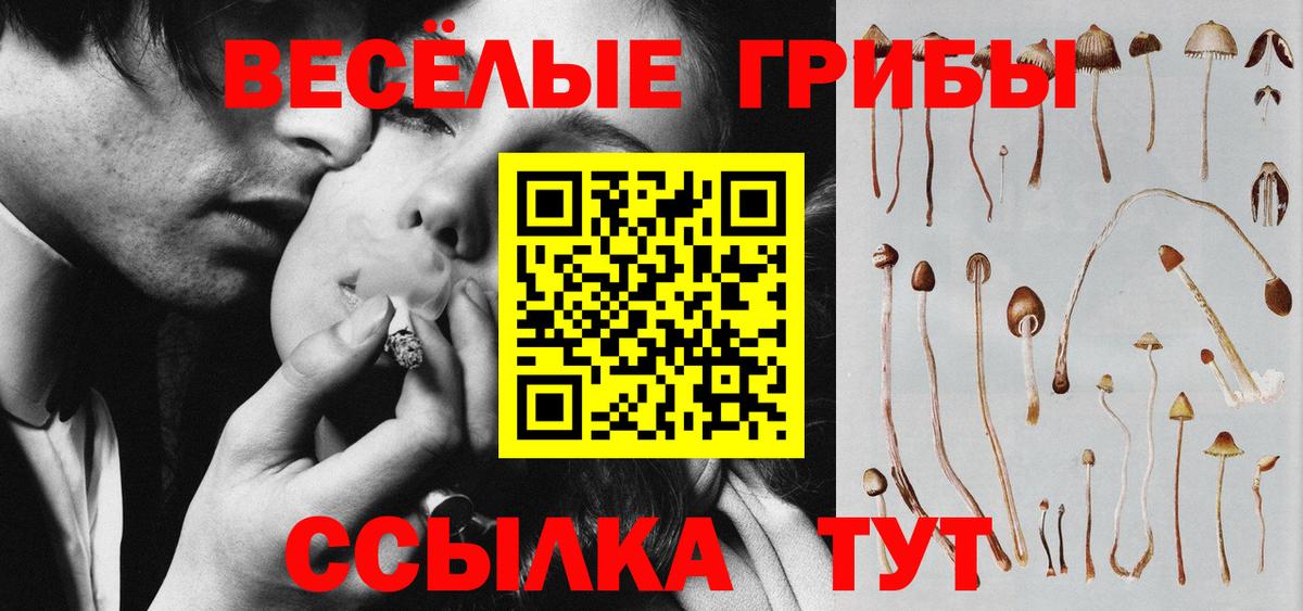 Электрогорск  Галлюциногенные грибы мицелий  Вход с VPN 