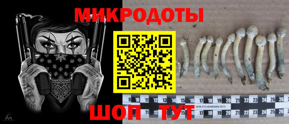Псилоцибиновые грибы Psilocybine cubensis Электрогорск